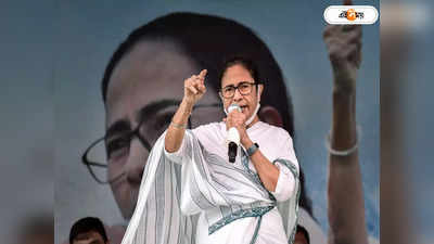 Mamata Banerjee: নিজে ইট বয়ে গ্রামের রাস্তা তৈরি করেছিলাম: মমতা