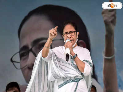 Mamata Banerjee: নিজে ইট বয়ে গ্রামের রাস্তা তৈরি করেছিলাম: মমতা