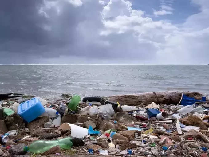 प्लास्टिक कचरा समुद्रात जाऊन धोका