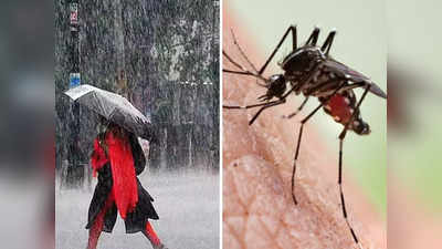 Monsoon Health Tips: डेंगू-मलेरिया का बढ़ा अटैक, आयुर्वेद के ये 7 उपाय बारिश के दिनों में बीमारियों को रखेंगे कोसो दूर