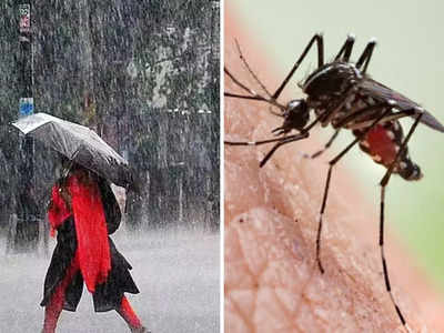 Monsoon Health Tips: डेंगू-मलेरिया का बढ़ा अटैक, आयुर्वेद के ये 7 उपाय बारिश के दिनों में बीमारियों को रखेंगे कोसो दूर