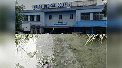 ফের ডেঙ্গির হানা! আক্রান্ত  Malda Medical College and Hospital-এর সহকারী সুপার