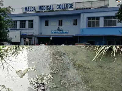 ফের ডেঙ্গির হানা! আক্রান্ত  Malda Medical College and Hospital-এর সহকারী সুপার