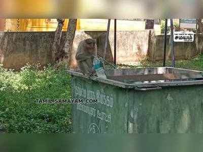 தருமபுரி அருகே தன்னை தானே கண்ணாடியில் பார்த்து ஆச்சரியப்பட்ட குரங்கு!