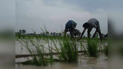 शेतकऱ्यांसाठी चिंतेची बातमी; मान्सून महाराष्ट्रावर रुसला, जूनमध्ये पावसाची ३१ टक्के तूट