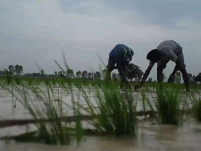 शेतकऱ्यांसाठी चिंतेची बातमी; मान्सून महाराष्ट्रावर रुसला, जूनमध्ये पावसाची ३१ टक्के तूट