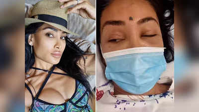 बिग बॉस फेम Sofia Hayat लंदन के अस्पताल में भर्ती, उपवास ने कर दिया बॉडी का इतना बुरा हाल