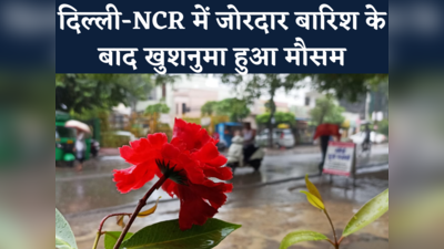 दिल्ली-एनसीआर में जोरदार बारिश के बाद खिले चेहरे, मौसम विभाग की भविष्यवाणी सुन गार्डन-गार्डन हो जाएगा दिल