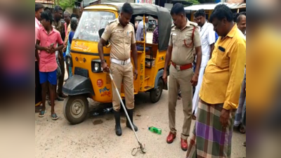 Snake: ஆட்டோவில் ஆட்டம் காட்டிய கொம்பேறி மூக்கன்; பதட்டமான குளித்தலை பேருந்து நிலையம்!