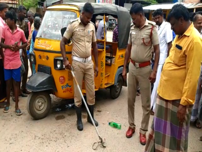 Snake: ஆட்டோவில் ஆட்டம் காட்டிய கொம்பேறி மூக்கன்; பதட்டமான குளித்தலை பேருந்து நிலையம்!