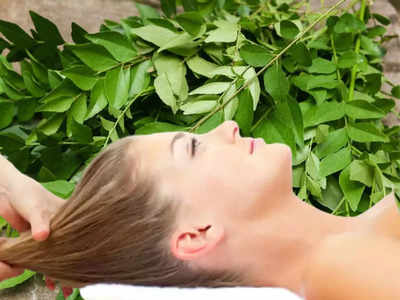 Curry Leaves for Hair: ಕರಿಬೇವನ್ನು ಕೂದಲಿಗೆ ಹಚ್ಚುವುದರಿಂದ ಕೂದಲು ಉದ್ದನೆ ಬೆಳೆಯುತ್ತಂತೆ