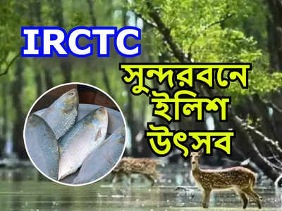 IRCTC: সুন্দরবনে ইলিশ উৎসবের আয়োজন IRCTC-র, খরচ কত পড়বে? জেনে নিন