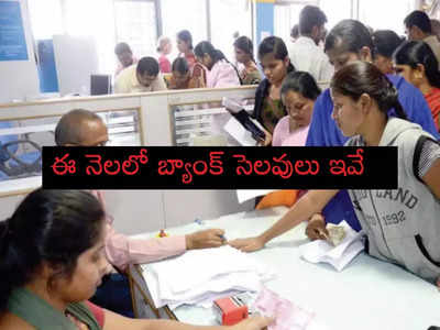 July Bank Holidays: ఈ నెలలో బ్యాంక్ సెలవులు ఇవే.. 14 రోజులు పనిచేయవు.. ఎప్పుడెప్పుడంటే..