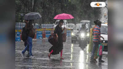 Weather Forecast: রথের দিন উত্তরবঙ্গ ভাসবে বৃষ্টিতে, ভ্যাপসা গরমে ভোগান্তি দক্ষিণের