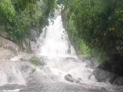 Pollachi Kaviyaruvi Floods: கவியருவியில் வெள்ளப்பெருக்கு - வனத்துறையினர் அறிவிப்பால் மக்கள் குஷி