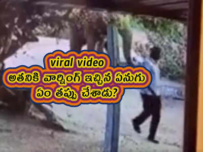 viral video: అతనికి వార్నింగ్ ఇచ్చిన ఏనుగు.. ఏం తప్పు చేశాడు?