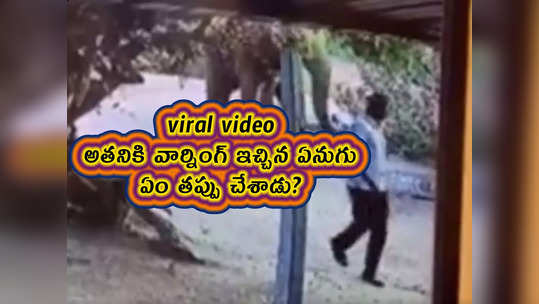 viral video: అతనికి వార్నింగ్ ఇచ్చిన ఏనుగు.. ఏం తప్పు చేశాడు?
