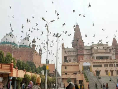 Mathura News: श्रीकृष्ण जन्मभूमि और शाही ईदगाह विवाद पर टली सुनवाई, 5 जुलाई नई तारीख तय