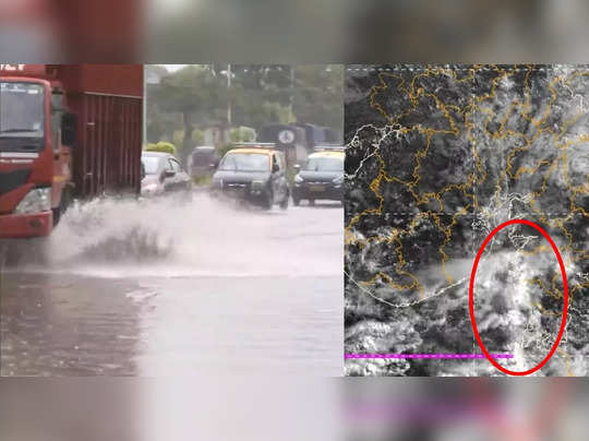 બોરસદમાં 11.5 અને સુરતમાં 7 ઈંચ ગાંડોતૂર વરસાદ, મુંબઈમાં યલો એલર્ટની અસર દેખાઈ 
