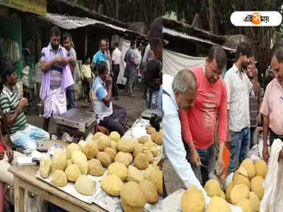 Purba Bardhaman: ছানার বিষক্রিয়ায় মৃত্যুর দাবি