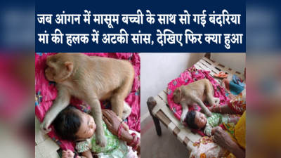 Bilaspur Monkey Story : बच्ची के साथ 5 घंटे तक सोई बंदरिया, मां की बढ़ी धड़कन