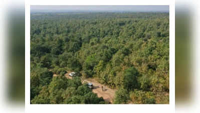 MP में हरियाली के लिए चलाया जा रहा ‘अंकुर अभियान’,  जनभागीदारी से हो रही वनों की बहाली