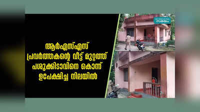 ആർഎസ്എസ് പ്രവർത്തകന്റെ വീട്ട് മുറ്റത്ത് പശുക്കിടാവിനെ കൊന്ന് ഉപേക്ഷിച്ച നിലയിൽ, വീഡിയോ കാണാം