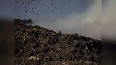 Delhi Landfill Site: कूड़े के पहाड़ सेहत के लिए खतरनाक और राष्ट्रीय शर्म, दिल्ली के एलजी ने ट्वीट कर मांगा सुझाव