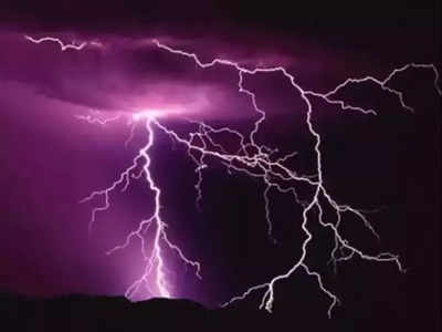 Lightning: পুরুলিয়ায় বাজ পড়ে মৃত ৩, আহত ৪