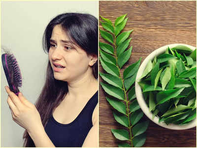 Curry Leaves: অল্প বয়সেই চুল পেকে যাচ্ছে? পড়ছে টাক! এই পাতা ব্যবহারে চুটকিতেই হবে মুশকিল আসান