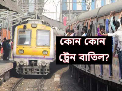 Train Cancelled: শিয়ালদা থেকে শনি, রবিবার বাতিল একাধিক ট্রেন! কোন কোন লোকাল চলবে না? তালিকা দেখুন