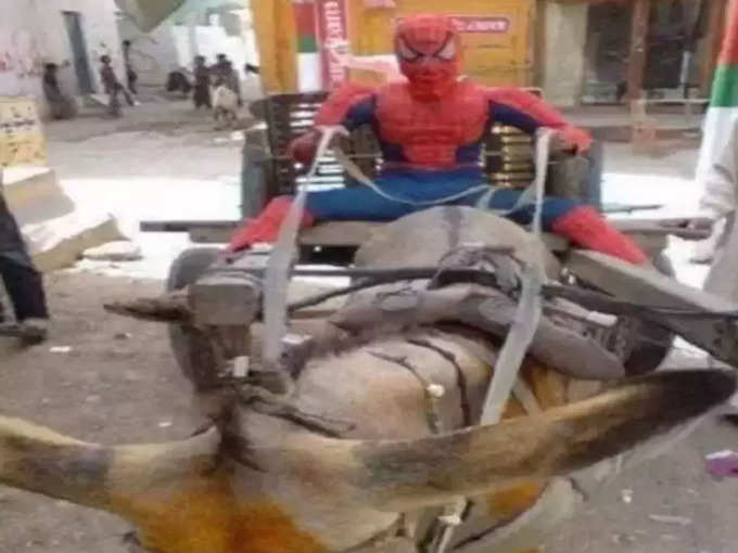 पाकिस्तान का स्पाइडर मैन...!