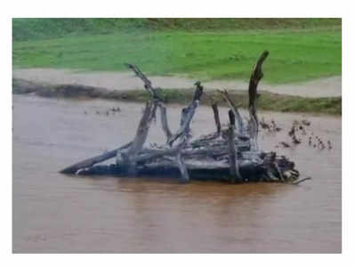 Jashpur : डोंडकी नदी में अचानक आई बाढ़, अंतिम संस्‍कार कर रहे लोग चिता छोड़कर भागे