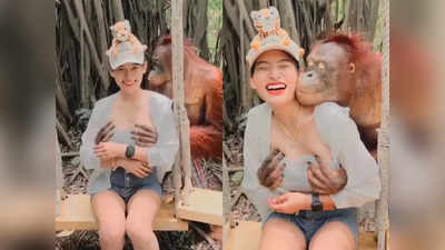 Monkey Grabs Woman Breast: बंदर ने पकड़ी महिला की ब्रेस्ट और करने लगा Kiss, थाईलैंड के चिड़ियाघर में ओरंगुटान की शरारत