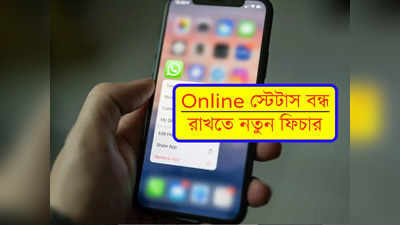 Whatsapp Online Status: দেখা যাবে না Online স্টেটাস! Whatsapp-এ আসছে নতুন ফিচার