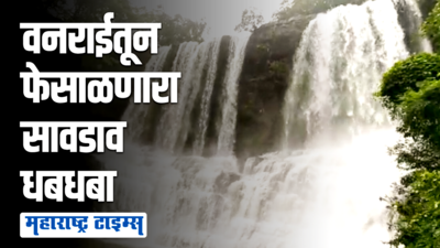 तळकोकणातील निसर्गरम्य सावडाव धबधबा, पहिल्याच पावसात धबधबा प्रवाहित