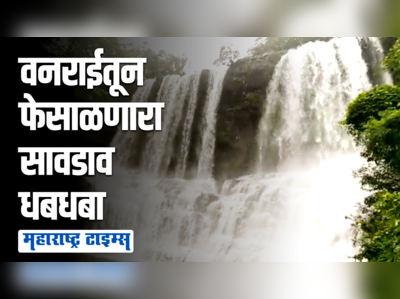 तळकोकणातील निसर्गरम्य सावडाव धबधबा, पहिल्याच पावसात धबधबा प्रवाहित