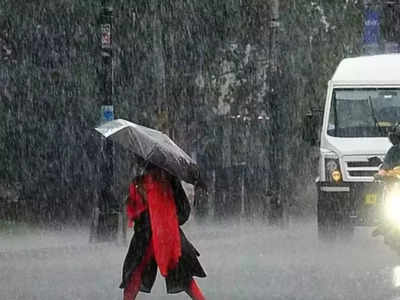 Monsoon Update: पूरे देश में 6 दिन पहले ही पहुंच चुका है मॉनसून, जानिए जुलाई में बारिश को लेकर  IMD का अनुमान