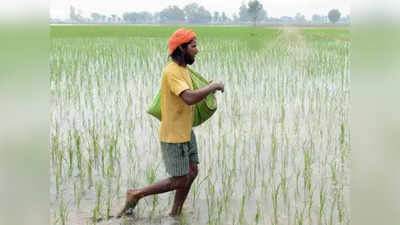 Bihar Rain Alert : बिहार में झमाझम बारिश से किसानों के खिले चेहरे, आज भी कई जिलों में बरसेंगे बदरा, जानिए अपडेट