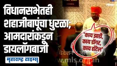 मतदानावेळी शहाजी बापूंचा क्रमांक येताच एकच हशा; आमदारांकडून काय झाडी, काय डोंगरची डायलॉगबाजी