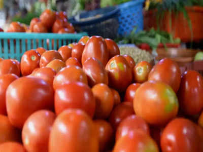 Tomato Price: ಕೆಜಿಗೆ 10 ರೂ.ಗೆ ಇಳಿದ ಟೊಮೇಟೋ ದರ..! ಗ್ರಾಹಕ ನಿಟ್ಟುಸಿರು.. ಬೆಳಗಾರ ಕಂಗಾಲು