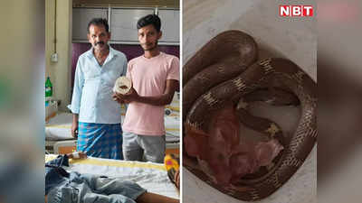 नालंदा: बच्चे को सांप ने डंसा तो डिब्बे में कोबरा लेकर अस्पताल पहुंच गए परिजन, भौचक्के रह गए स्वास्थ्य कर्मी