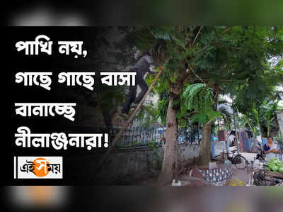 পাখি নয়, গাছে গাছে বাসা বানাচ্ছে নীলাঞ্জনারা! 