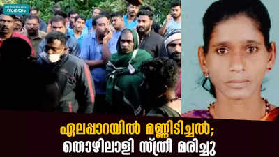 ഏലപ്പാറയിൽ മണ്ണിടിച്ചൽ; തൊഴിലാളി സ്ത്രീ മരിച്ചു