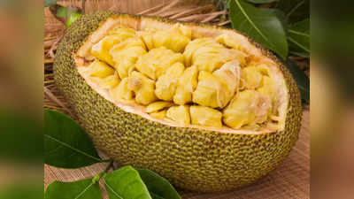 Jackfruit Day: ಆರೋಗ್ಯಕ್ಕೆ ಹಲಸು ಎಷ್ಟು ಒಳ್ಳೆಯದು ಗೊತ್ತಾ?