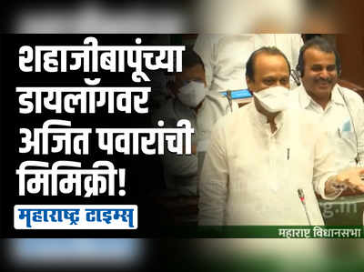 बापू म्हणाले, काय झाडी, काय डोंगर..., अजित पवारांकडून शहाजीबापूंची मिमिक्री