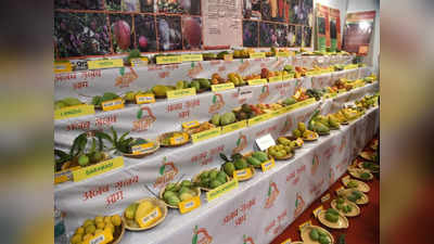 UP Mango Festival 2022: आम ही आम, सैकड़ों तरह के आम, मैंगो फेस्टिवल की ये तस्वीरें देख मुंह में आ जाएगा पानी 