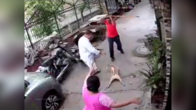Viral Video: ஈவிரக்கமின்றி நாயை இரும்பு கம்பியால் தாக்கிய நபர், அண்டை வீட்டார் மீதும் தாக்குதல்!