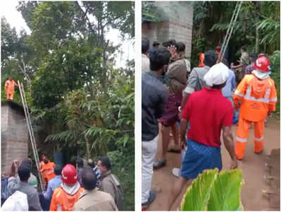 പുരയിടത്തിൽ ഓടിയെത്തി മരത്തിൽ കയറി, ആളു കൂടിയപ്പോൾ എടുത്തുചാടി അതിഥി തൊഴിലാളിക്ക് ഗുരുതര പരിക്ക്