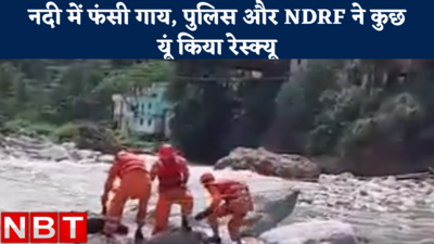 Cow Rescue Video : नदी का तेज बहाव.. मझधार में फंसी गाय, पुलिस और NDRF टीम ने कुछ यूं किया रेस्क्यू, देखें वीडियो